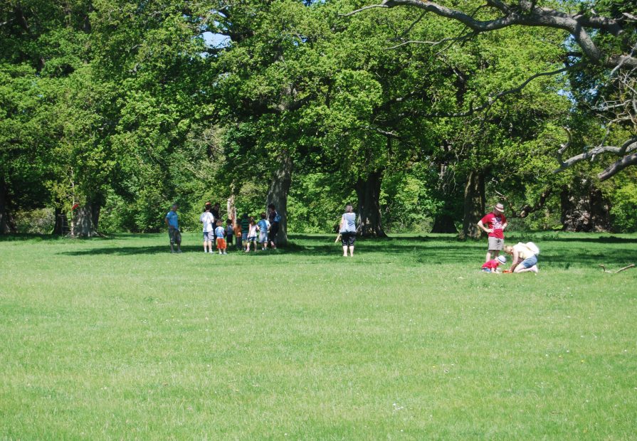 Treasure hunters in a field